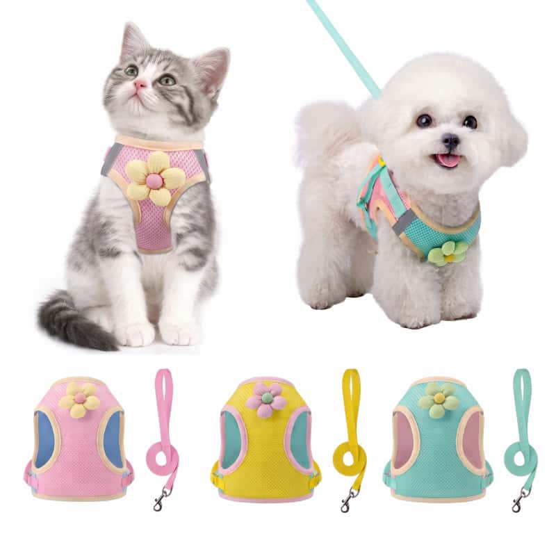 Arnés Tipo Chaleco Para Perro Y Gato Con Correa Pechera Transpirable Ajustable Con Flor Para Mascotas Cachorro Y Paseo
