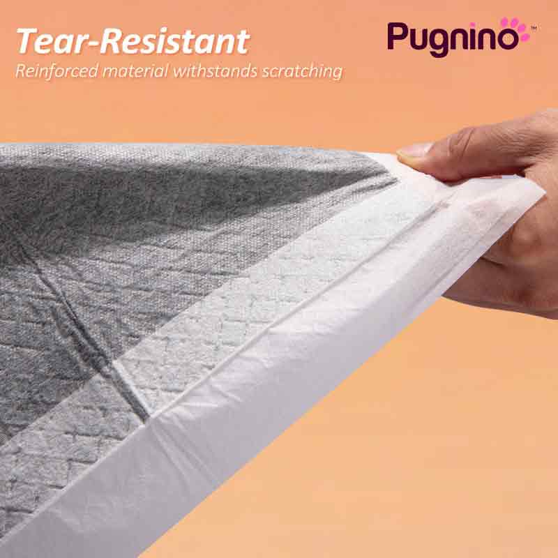 Pugnino 宠物尿垫训练垫 狗狗猫咪用 竹炭碳纤维吸水尿布垫