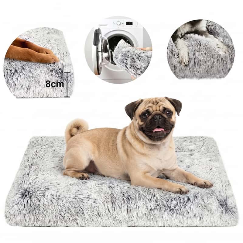 Cama Para Perro Mediano Y Chico Ortopédica 75x50x10cm Cojín Suave Lavable Colchoneta Acolchada Para Mascotas Cachorro Y Gato