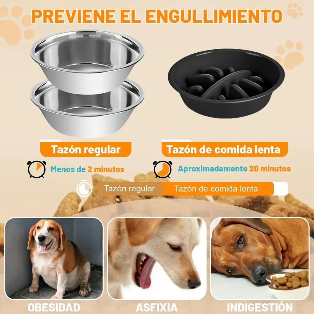 宠物喂食器可调节高度狗猫通用不锈钢碗慢食盘支架