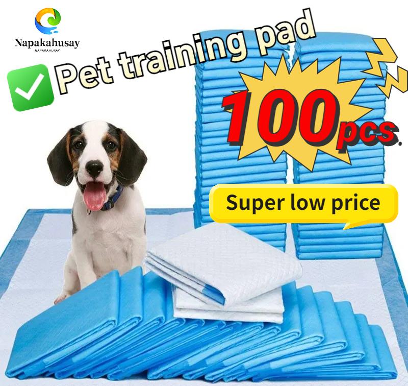 Pugnino Sustainable Training Pad for Pet Potty Pads 100 Count Leak-Resistant & Deodorizing for Dogs and Cats 24 Months Unscented Large Size