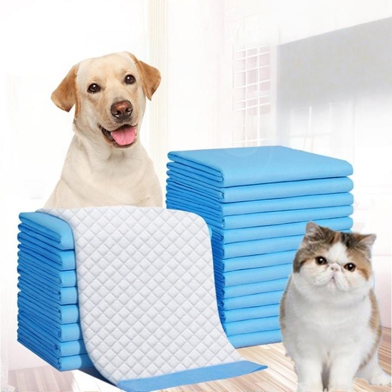 Dog Cat Training Pads Smart 100 PCS - Instant Absorption No Clumping, Thick Polyolefin, Leakproof, Odor & Mildew Control