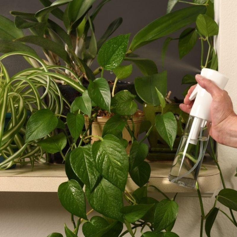 喷雾瓶 彩色细雾喷瓶 细雾喷水瓶 可补充空瓶 200ml 300ml 500ml