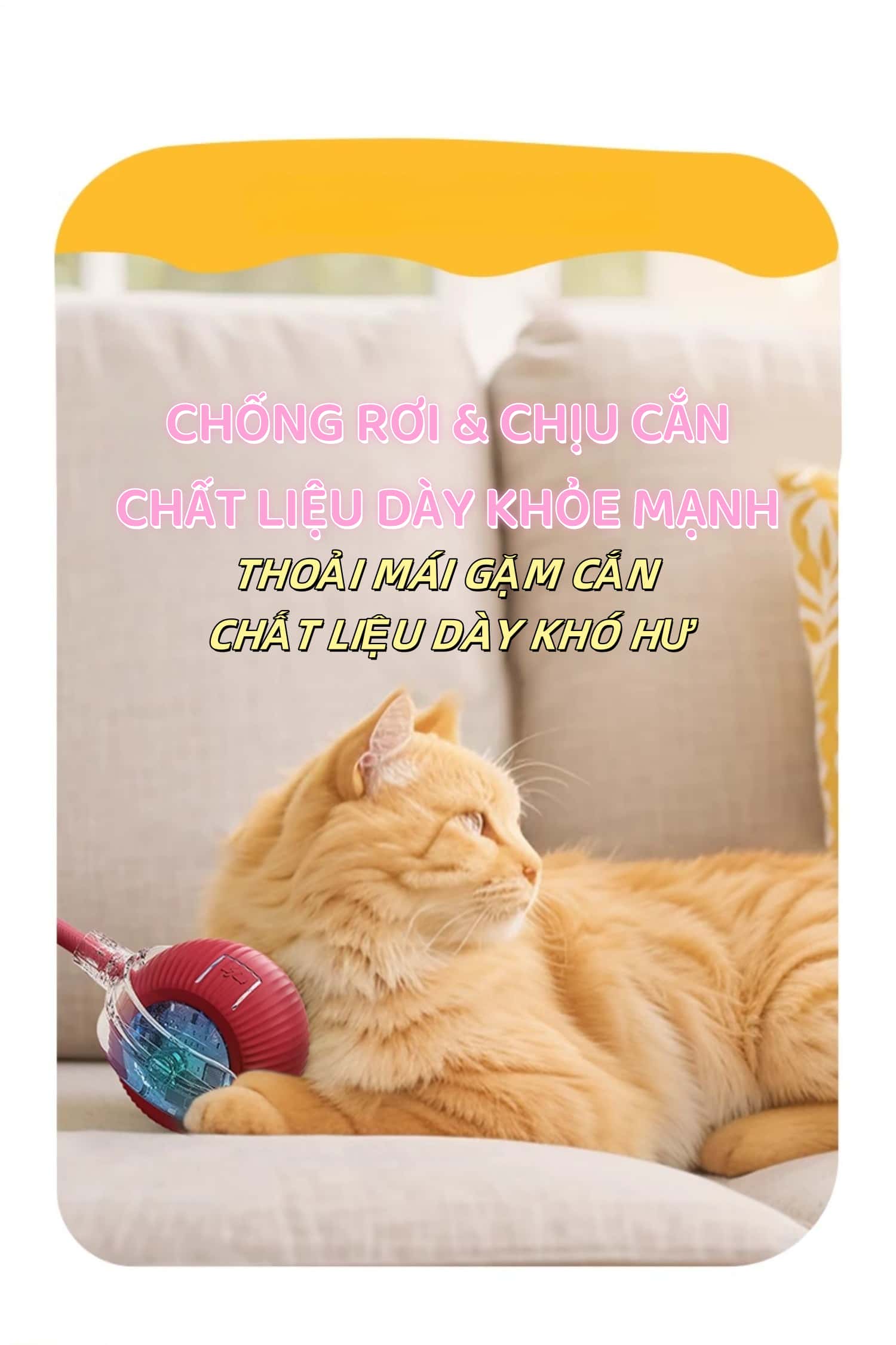 室内智能自动滚动宠物玩具多功能逗猫狗用品促进运动锻炼USB充电款适合家庭养猫狗用