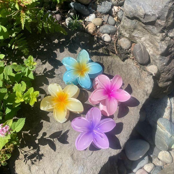 鸡蛋花发夹 6件/套 夏威夷花朵 女士女孩彩色亚克力花朵发饰 8cm迷你沙滩夹 海边发饰