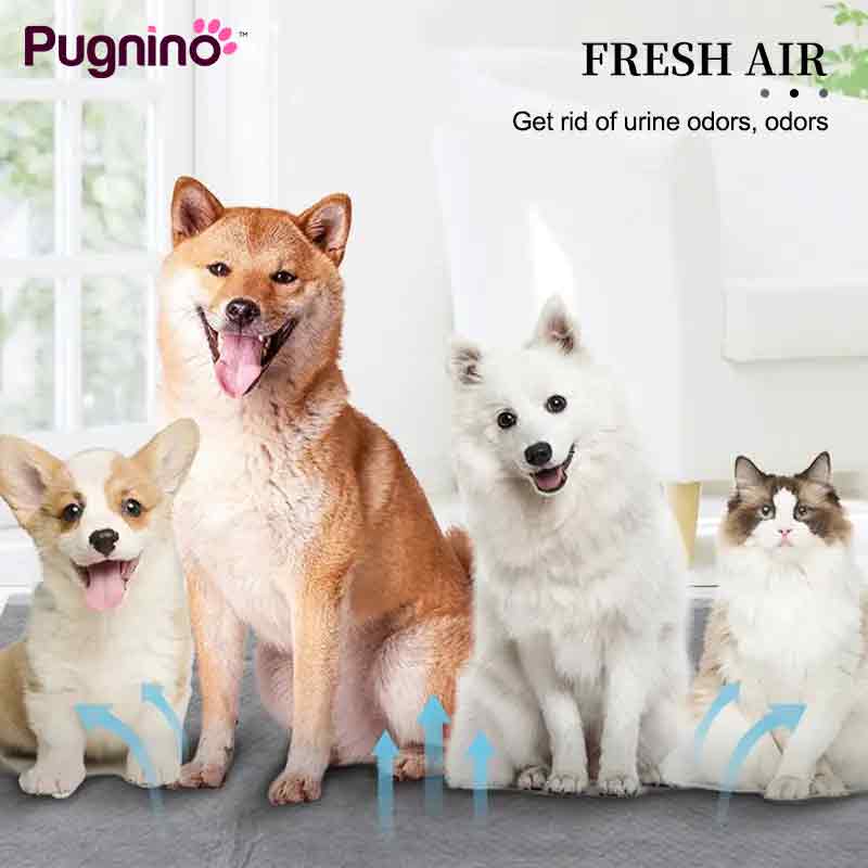 Pugnino 宠物尿垫训练垫 狗狗猫咪用 竹炭碳纤维吸水尿布垫